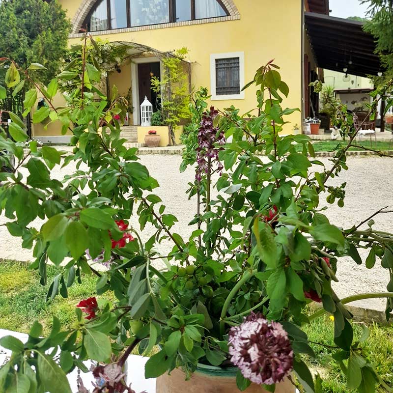 Spazio Casanna
